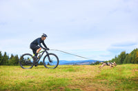 Non-Stop Dogwear Bike Antenna
